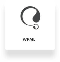 mitech-landing-extended-plugin-wpml